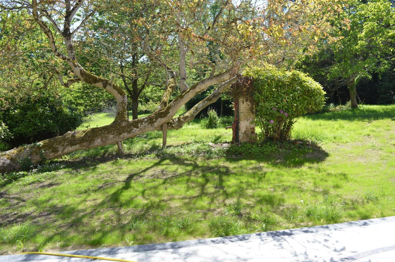 Maison Typique - Tres Grand Jardin - 7Km De La Mer Fontaine-Henry Luaran gambar